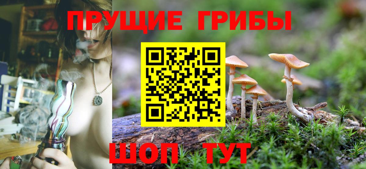 Псилоцибиновые грибы ЛСД Лесозаводск